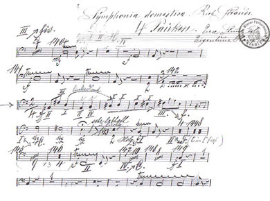 Symphonia Domestica